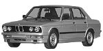 BMW E28 C256A Fault Code